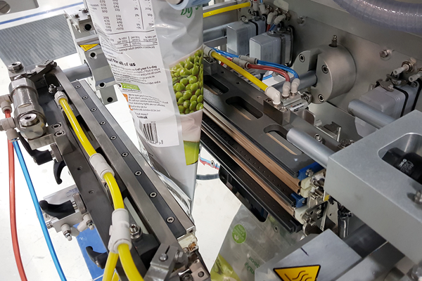 Packaging & Flexible Packaging